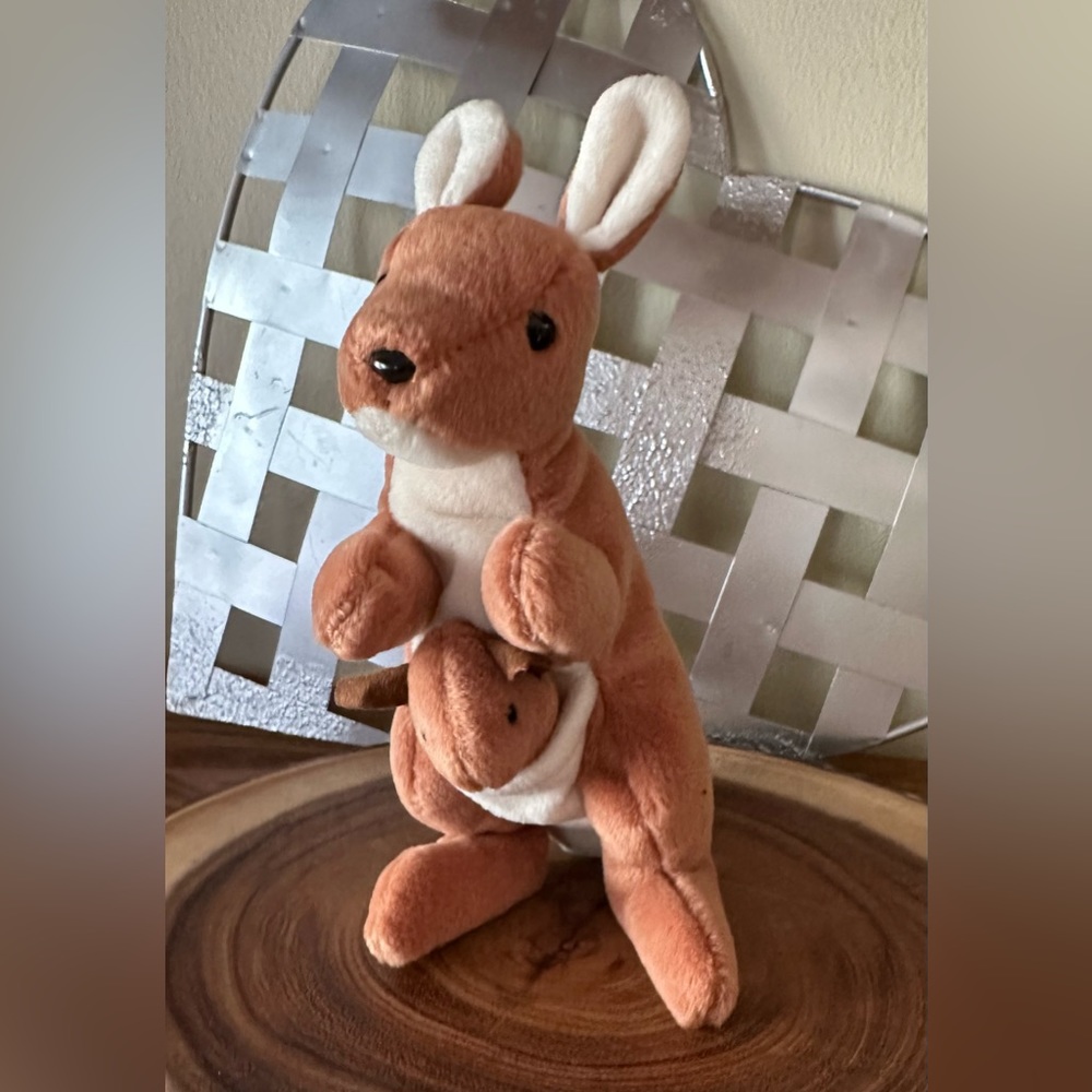 Pouch Beanie Baby - Picture 1 of 2